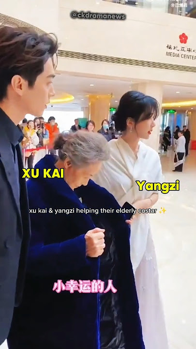 xukai & yangzi 🩷 #xukai #yangzi #杨紫 #thebestchoice #cdrama #cdramaedit #shorts #trending #fyp
