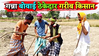 गन्ना बोवाई ठेकेदार और गरीब किसान ||Kishori Dhelai Kallu|| Ganna ki khete