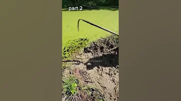 Draining a massive swamp!