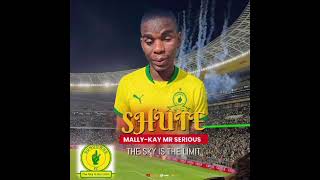 shute 