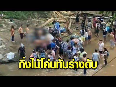 สลด หนุ่มเที่ยวเชียงใหม่ ถูกกิ่งไม้หล่นทับ ดับต่อหน้าเพื่อน
