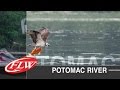 2015 FLW TV | Potomac River