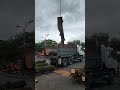 Tree Lopping Crane Removal