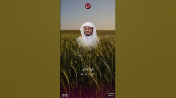 تلاوة للشيخ ياسر الدوسري من سورة البقرة من الآية 261