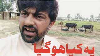 bijali ke Balu Ne Rula Diya🤣😭😡#vlog #Aamir Cheena#government