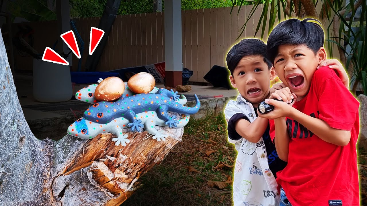 สำรวจบ้านตอนกลางคืน ส่องสัตว์รอบบ้านเจอไข่ปริศนา I หนูดีมาแล้วจ้า