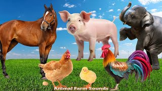 Animal Videos For Family: Cat, Cow, Elephant, Duck, Pig, Chicken, Horse - Animal sounds by Animal Farm Sounds 9,389 views 1 day ago 32 minutes