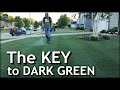 The key to a dark green lawn  lets talk micronutrients