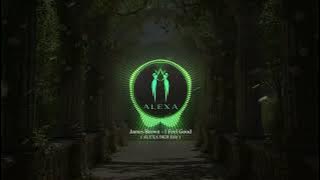 JAMES BROWN - I FEEL GOOD (ALEXA BKB EDIT)