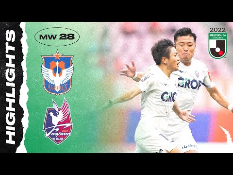 Niigata Okayama Fagiano Goals And Highlights