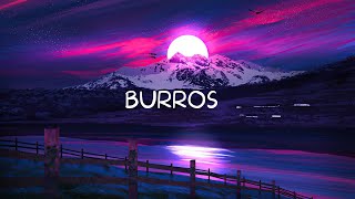 Clarent - BURROS (Letra/Lyrics)