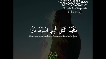 ( مثلهم كمثل الذي استوقد نارا ) من سورة البقرة - القارئ الشيخ وديع اليمني - حالات واتس اب
