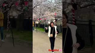 Download Lagu Just for fun #花見#さくら🌸#cherryblossoms2023#sakura#by Anri Kumaki MP3