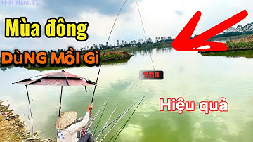 Je moet weten hoe je moet vissen | Welk aas is effectief voor het vangen van kroeskarper bij koud...