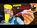 Human blood vs snake venom