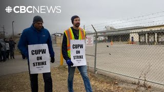 Sask. businesses fear holiday season impacts amid Canada Post strike