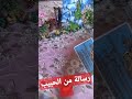 رسالة من حبيبك المبتعد 