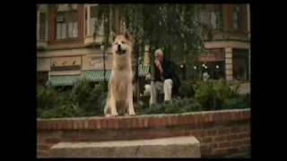 Hachiko ( Cancion Yo Te Extrañare)