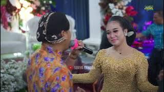 Download lagu Selingkuh Sangga Buana | Vieta Aprilia - Aris | #suryacandra #alexamusik