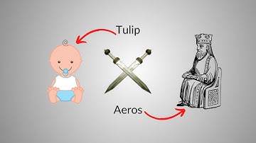 Diep.io | 1v1 Against Aeros + My Discord Server! - Special 100 subs | Tulip YT