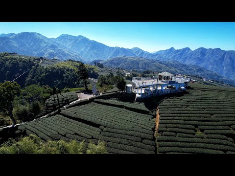 瑞峰 1314觀景台 海鼠山360度看 四天王山 光崙山 摩天嶺 兜山 塔山 石壁山 茶園