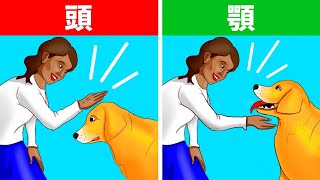 安全第一！正しく犬に接する方法