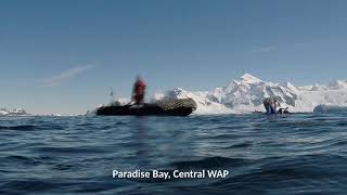 Scientific diving in Antarctica and South Georgia Island
