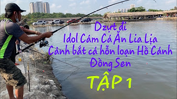 Hồ cánh đồng sen, Fishing Câu cá tra ăn lia lịa cảnh tượng hỗn loạn với idol CÁM.