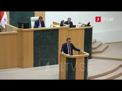 საგარეო საქმეთა მინისტრი პარლამენტში