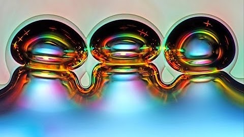 The most incredible microscope images of 2016