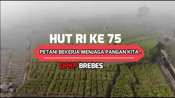 PETANI BREBES BEKERJA MENJAGA PANGAN DI SAAT WABAH PANDEMI COVID 19