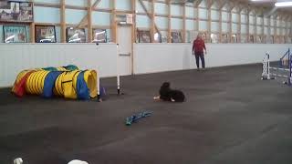 Camille Master Jww 17Apr2021