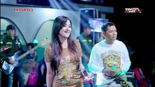 HABIS GELAP TERBIT TERANG-TIARA AMORA - NEW MANDALA - WEDDING