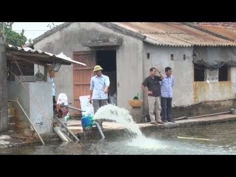 Video Bảo vệ thủy sản mùa mưa bão - youtube