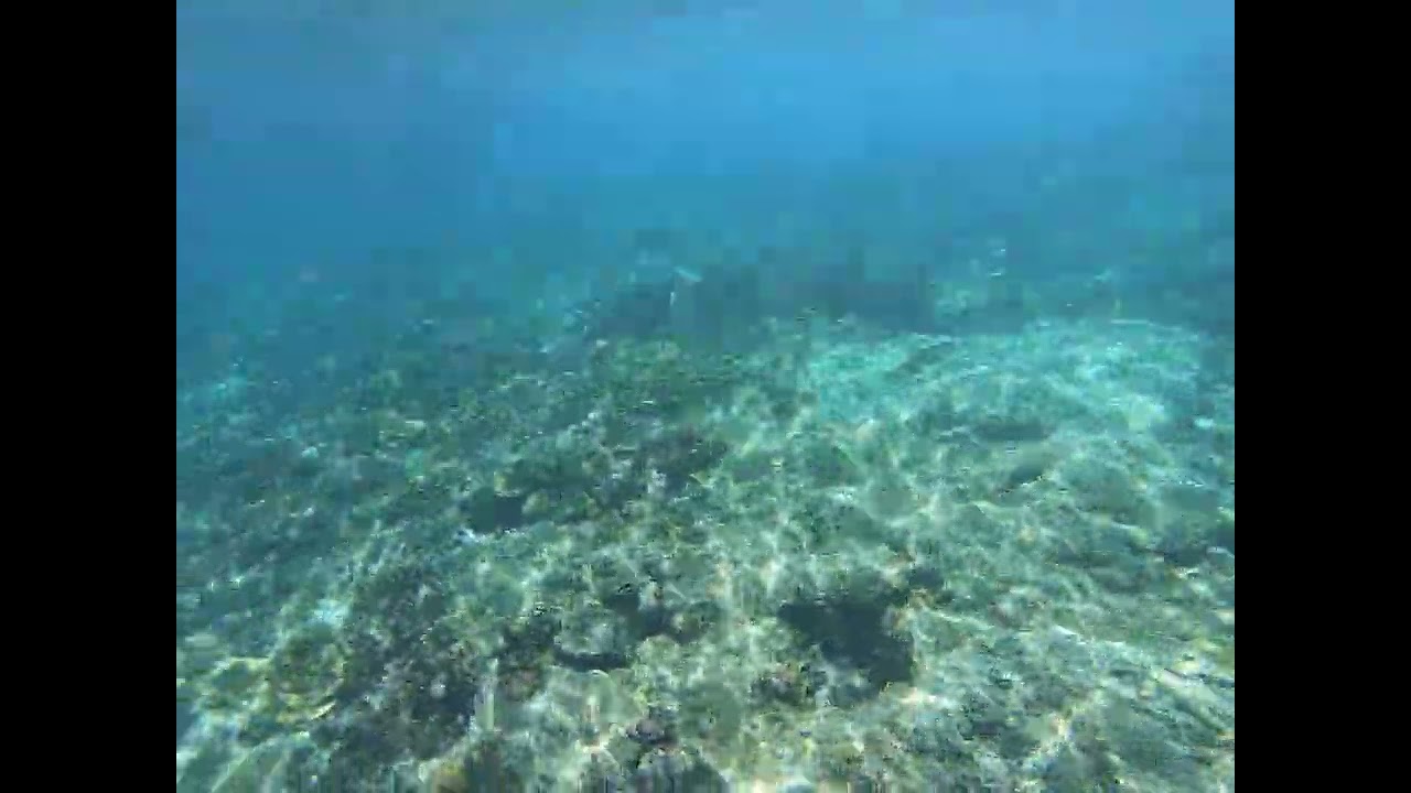 Dakit-Dakit Island 다낏 다낏 섬 8, Malapascua, 말라빠스꾸아, 