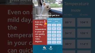 Don’t leave your pet in a parked car. The temperature in your car can quickly rise to 100+ degrees
