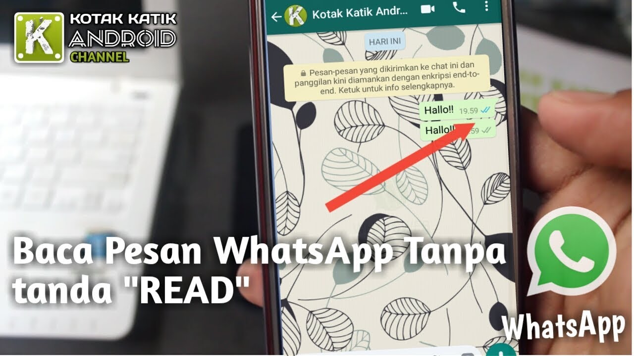 Cara Baca Pesan WhatsApp Tanpa Memunculkan Centang Biru READ Di