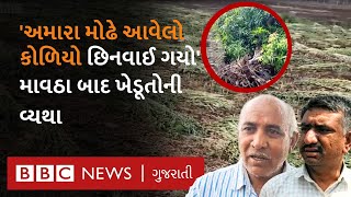 Gujarat : 'આંબા મૂળમાંથી ઊખડી ગયા, અમારો પાક ધૂળમાં ભળી ગયો' કમોસમી વરસાદ બાદ ખેડૂતોની શું હાલત થઈ?