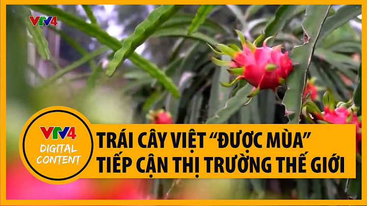 Trái cây Việt "được mùa" tiếp cận thị trường thế giới | VTV4