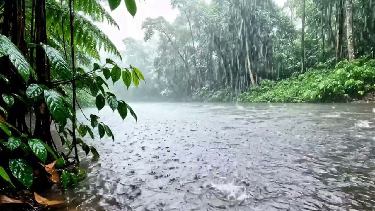 10 Hours Relaxing Rain Sounds in the Amazon Rainforest | Deep Sleep ASMR