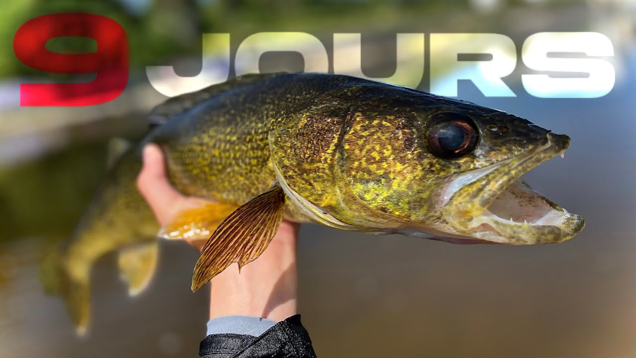 J’ai pêché au même endroit pendant 9 jours: voici ce qui s’est passé