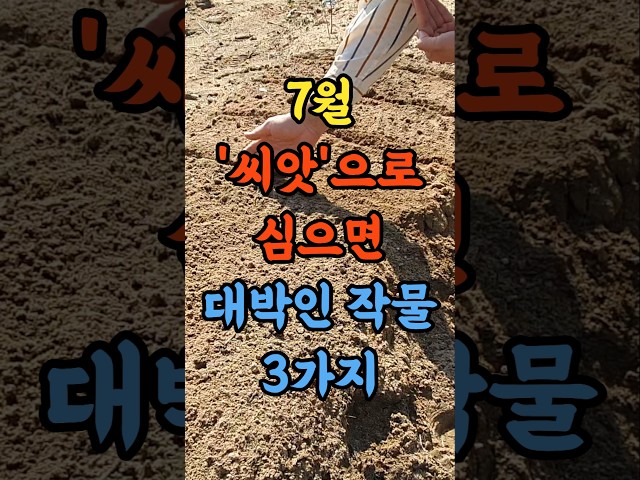 7월 씨앗으로 심으면 대박인 작물 3가지