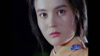 Female Ninja - Magic Chronicles 1/くノ一忍法帖 (1991) Absurd Low Budget Japanese V-Cinema Cult