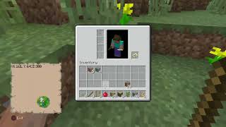 minecraft (twitch.tv livestream)