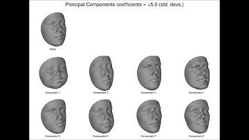 Large Scale Facial Model (LSFM) (Booth et al.)