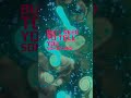 Cigarettes after sex - Cry #music #song #love #lyrics #alternative #altrock #song #ballad