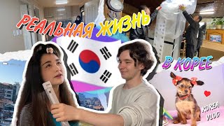 Real life in Korea!/Puppies/Children/Renovation/Looking at the apartment/New refrigerator/KOREA VLOG