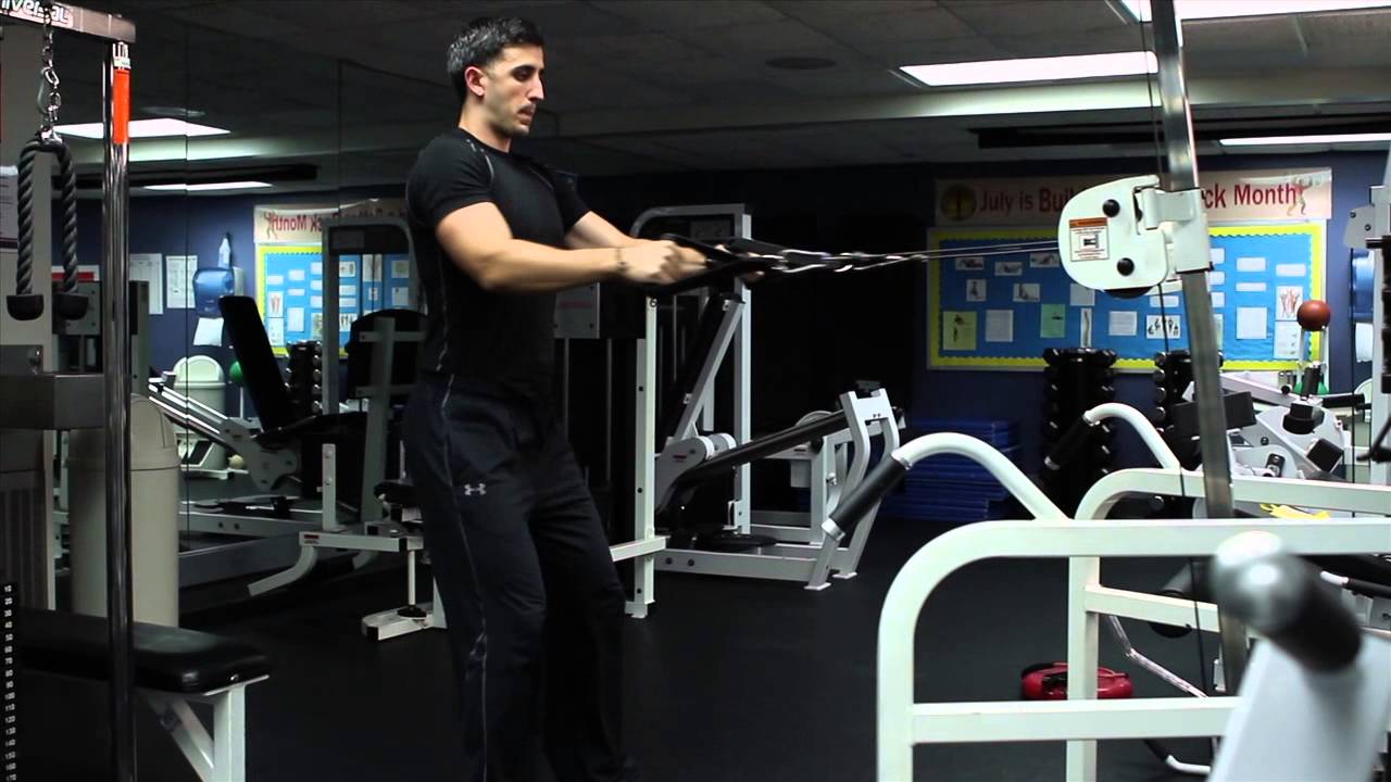 Cable Squat to Row YouTube