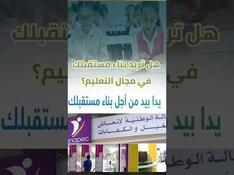 طريقة التقديم على وظيفة التعليم الأولي المهاجر ترند وضيفة