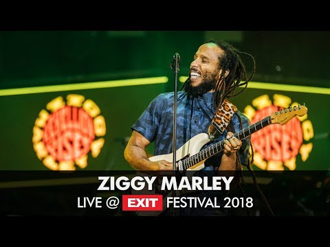 Video: Nilai Bersih Ziggy Marley: Wiki, Berkahwin, Keluarga, Perkahwinan, Gaji, Adik Beradik